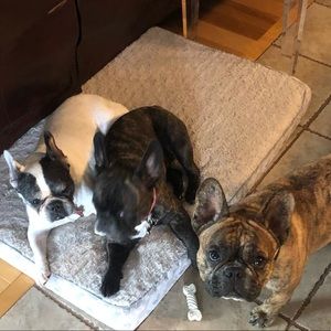 Meet your Posher, Mark